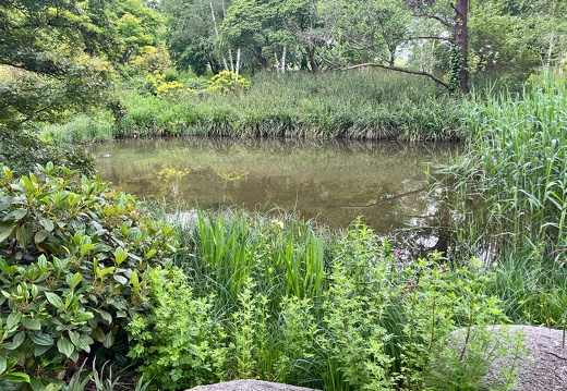 23-05-16 12-58-44 5407